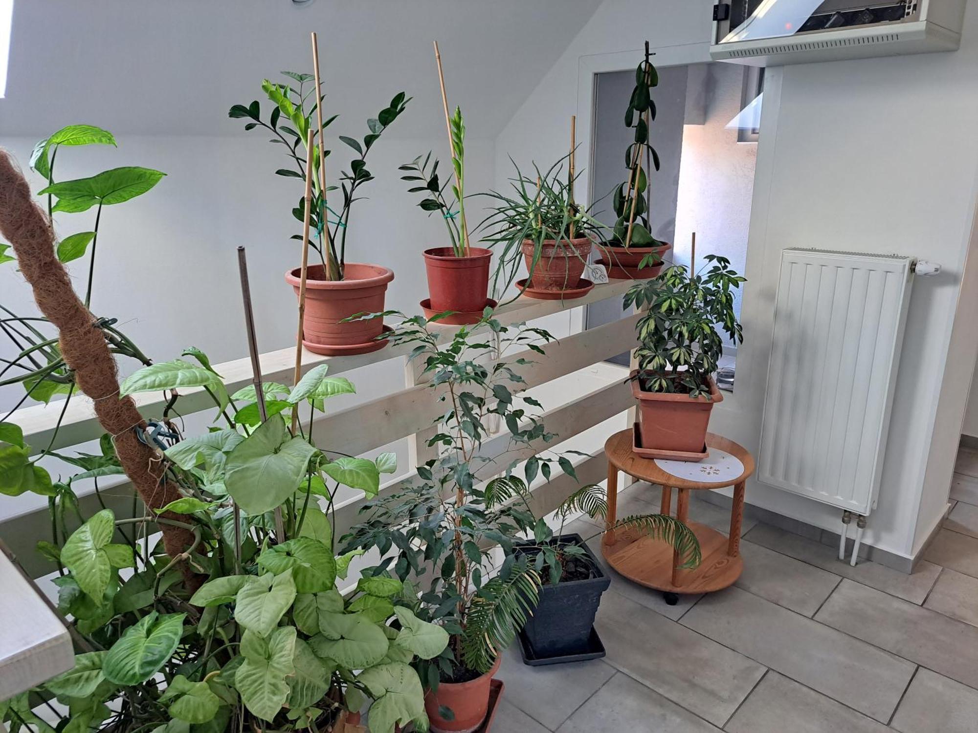 Apartmany Amalia Piest'any Exterior photo